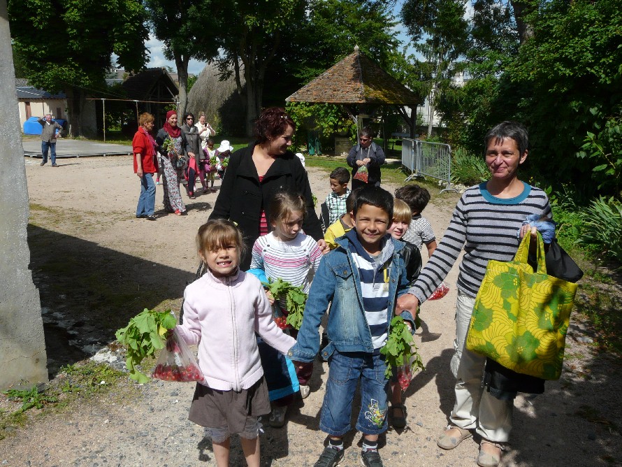 Retour avec des radis et des cerises